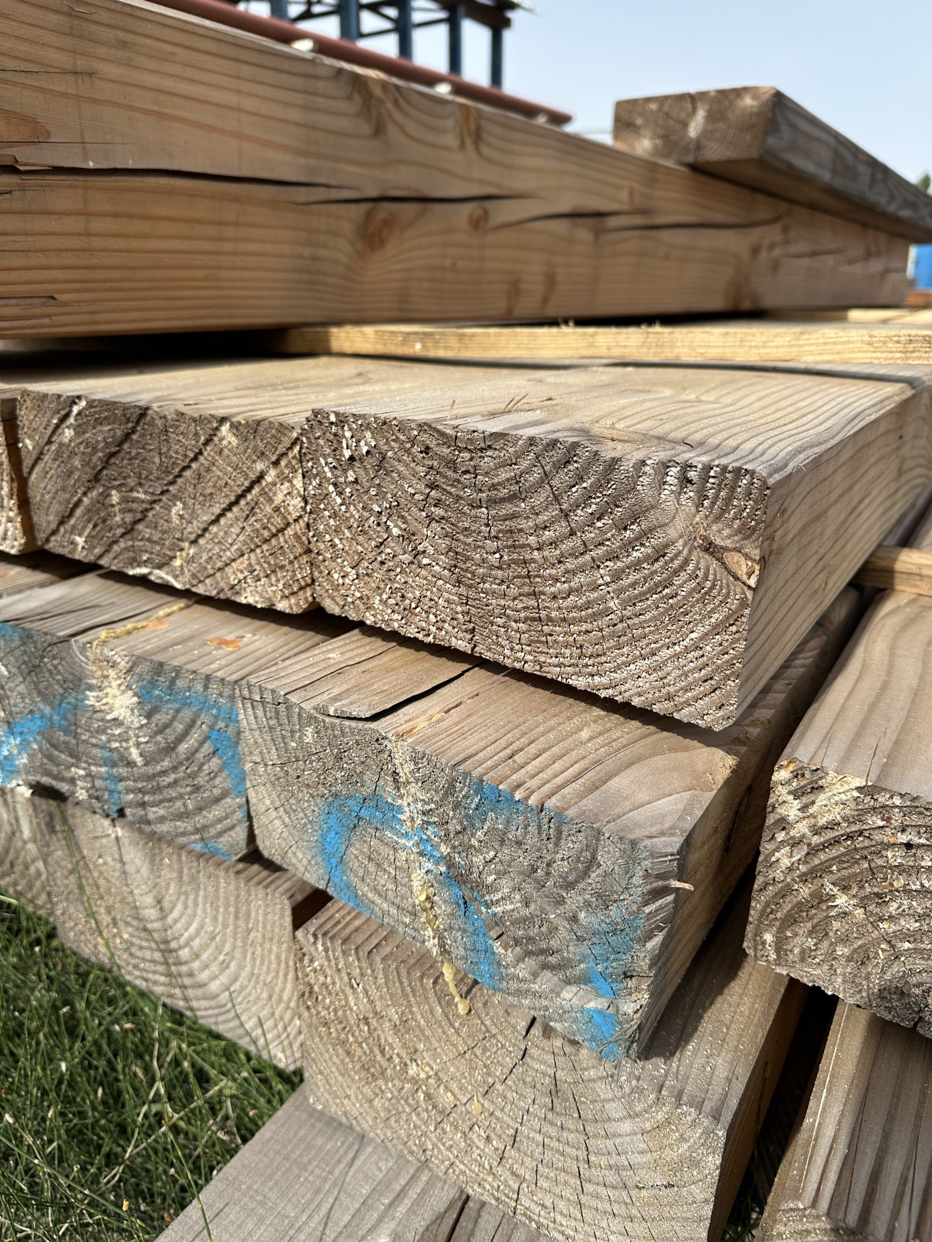 PANNE DOUGLAS 150X300 – Image 3