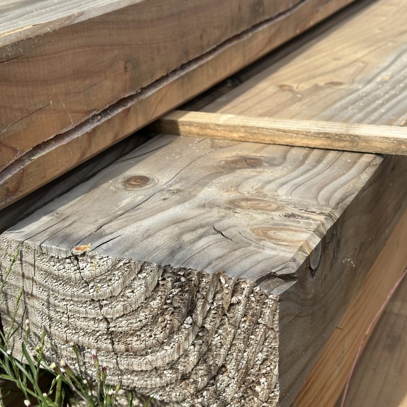 panne douglas 120x240