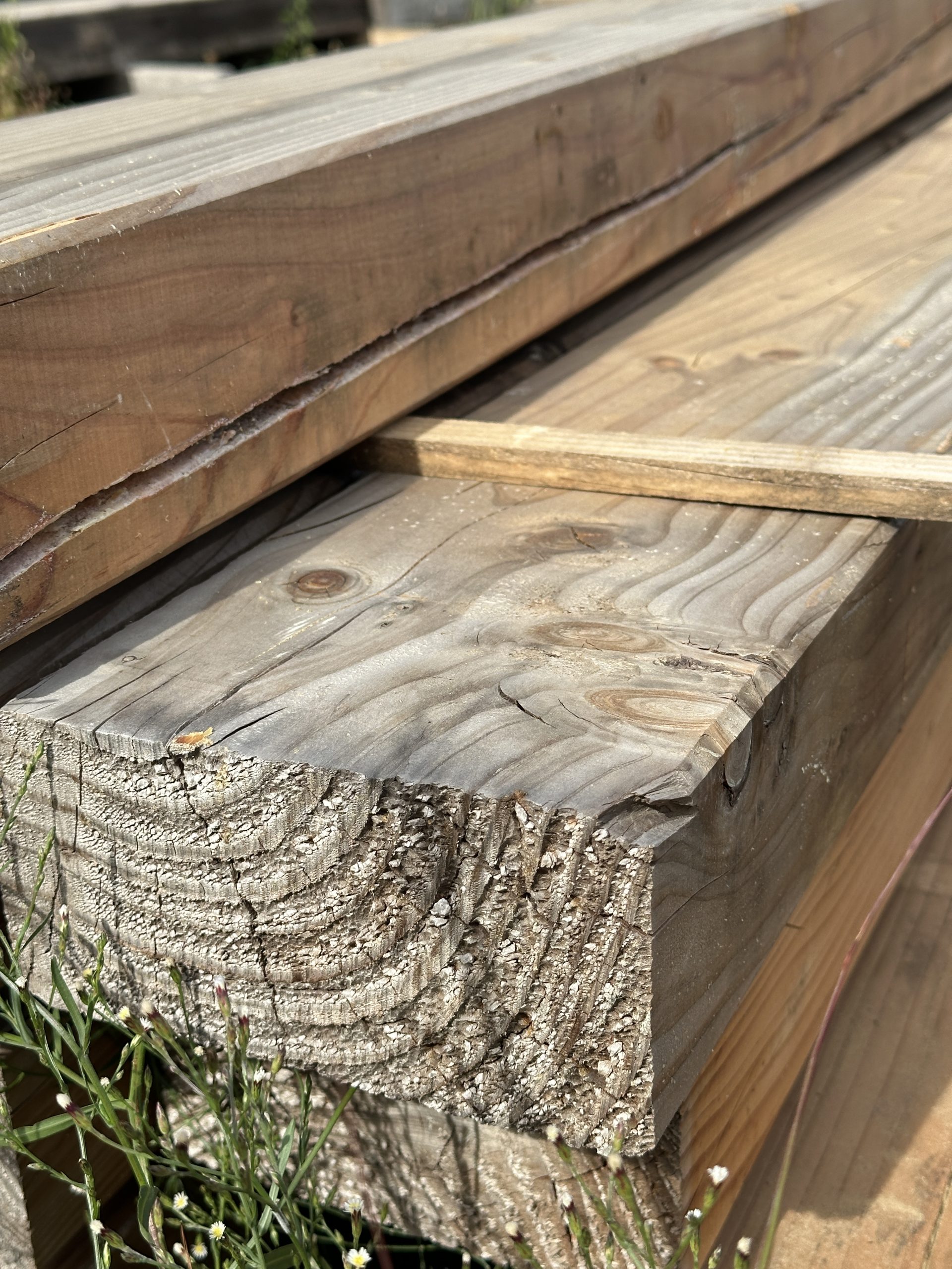 panne douglas 120x240