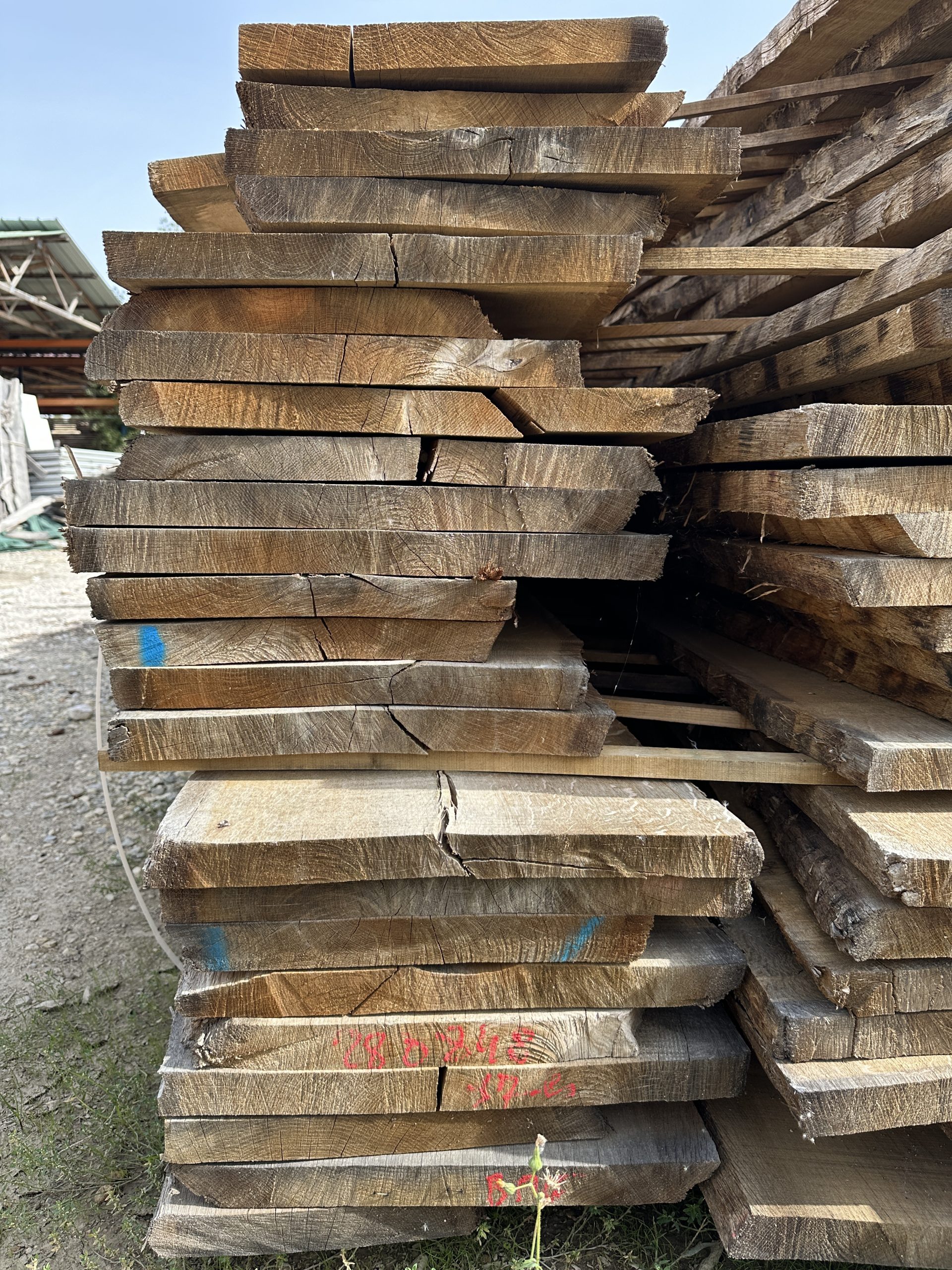 PLATEAUX ET PLOTS DE BOIS BRUT – Image 3