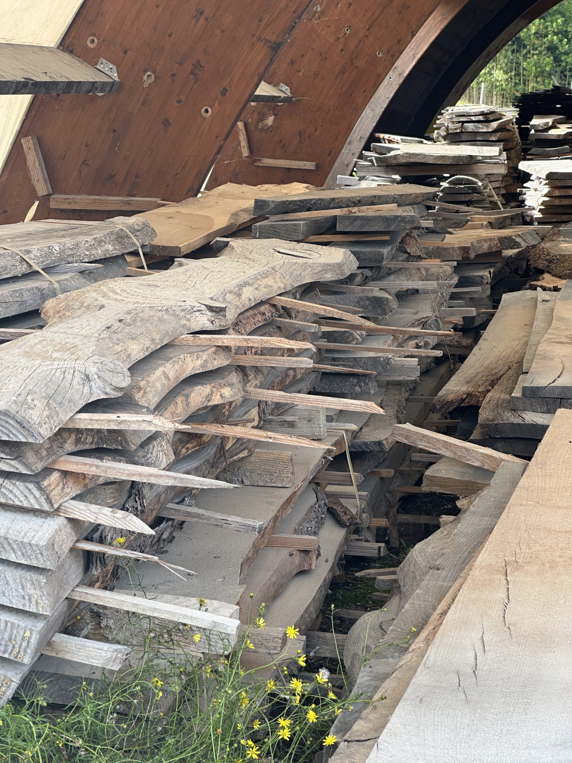 PLATEAUX ET PLOTS DE BOIS BRUT – Image 2