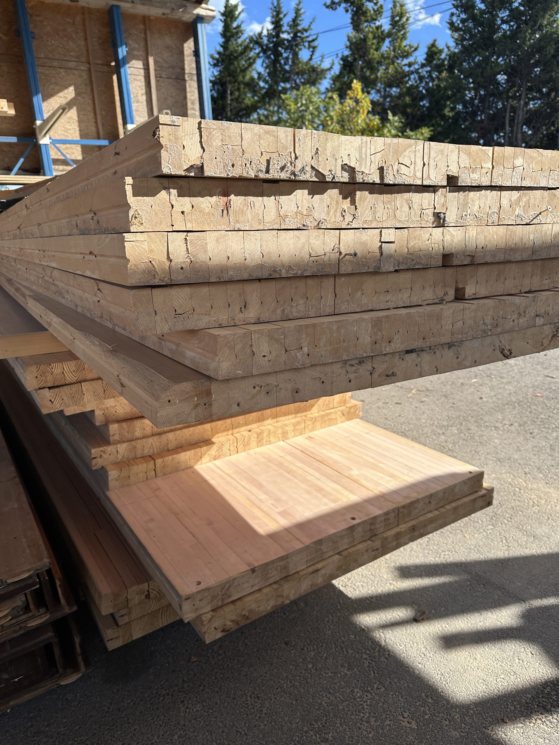 PANNEAUX CONTRECOLLES HETRE ET PIN – Image 4