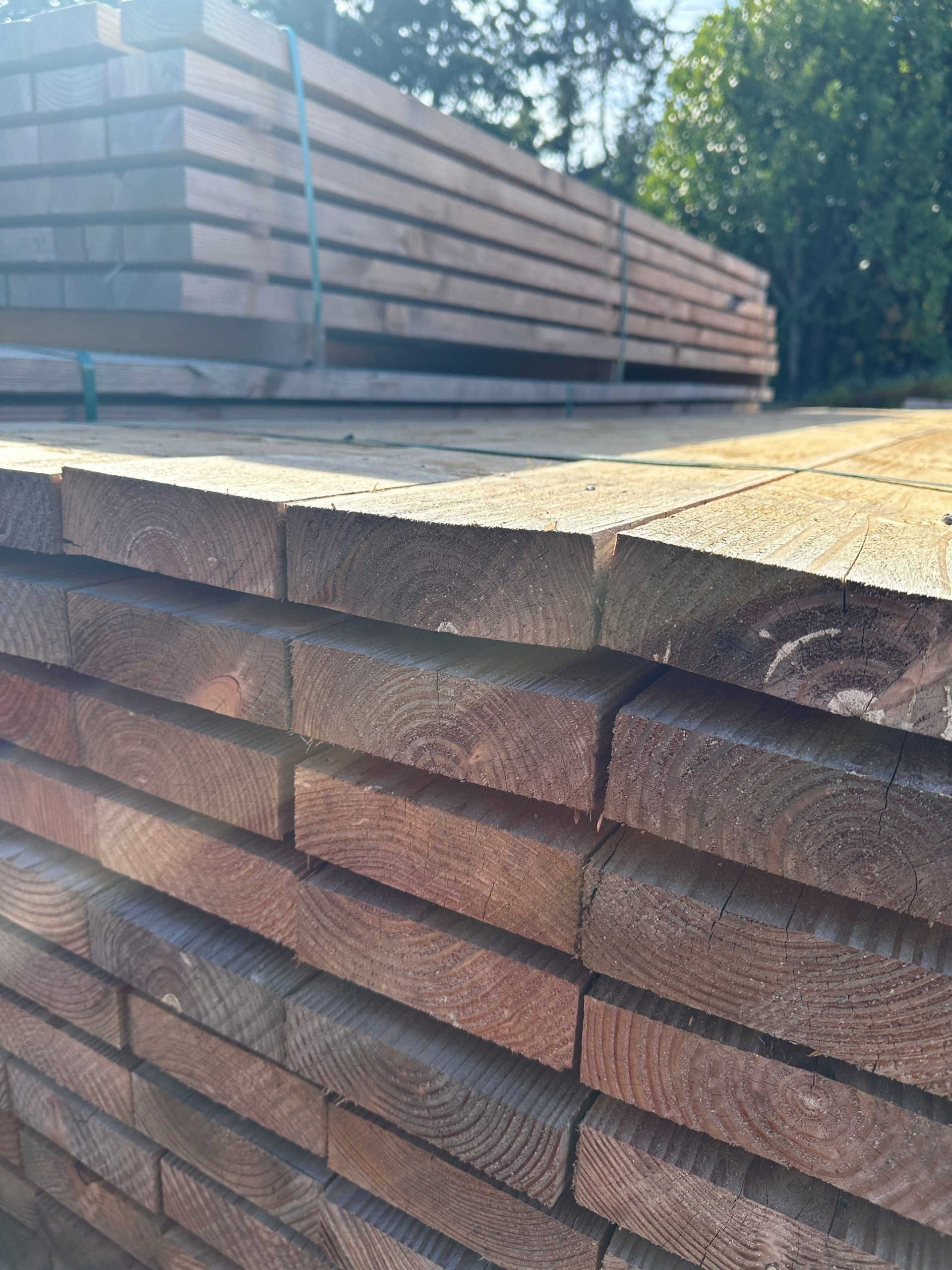 ARRIVAGE DOUGLAS SEC – Image 3